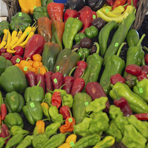 Selection of Peppers at Country Fair